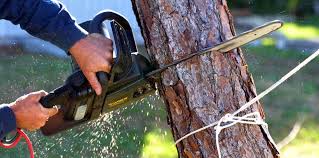 Best Soil Testing and Treatment  in Middlesex, NJ
