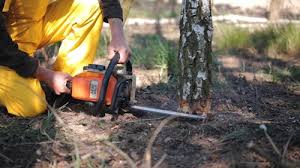 Best Weed Control  in Middlesex, NJ